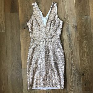 Sequin Dress the Population Dress